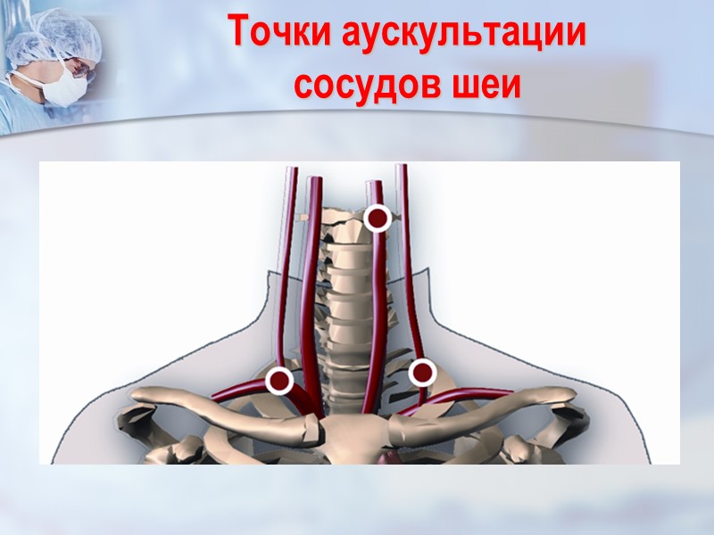 Точки аускультации            